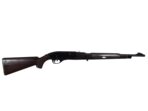 Remington Nylon​ .22lr Halbautomatische Büchse