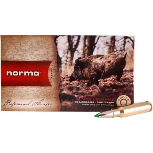 Norma .308 Win Ecostrike 150grs / 9