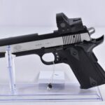 German Sport Guns 1911​ .22lr Pistole