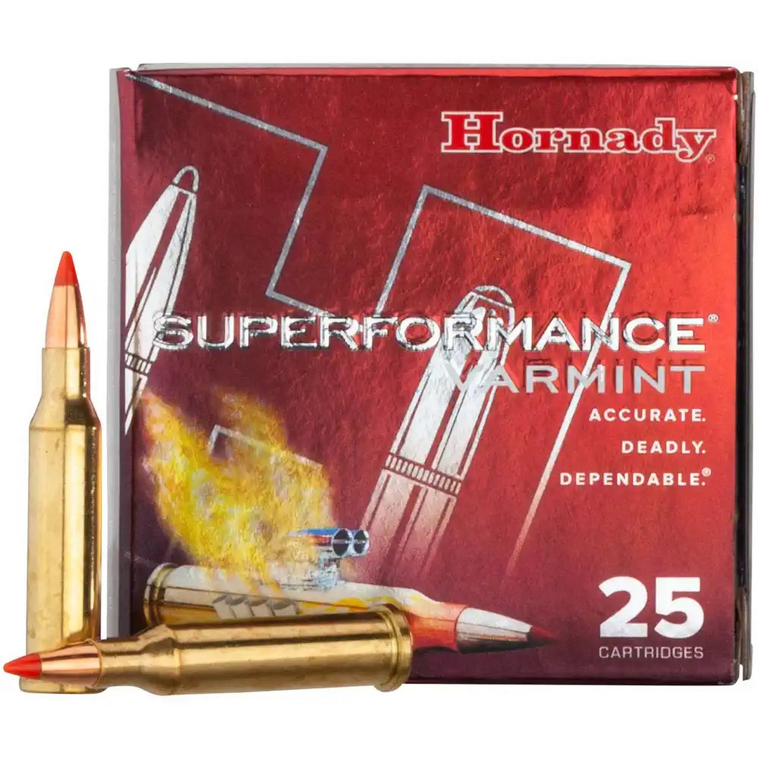 Hornady .17 Hornet V-Max 20grs / 1 Hornady .17 Hornet V-Max 20grs / 1