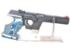 Walther GSP​ .22lr Pistole